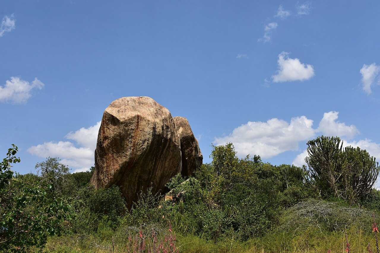Landscape in Serengeti National Park